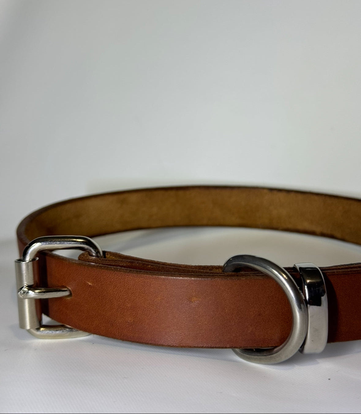 Tan Dog Collar